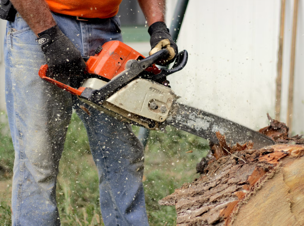 Professional tree removal service in Maryville, TN